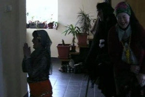 Rönkhúzás 2010